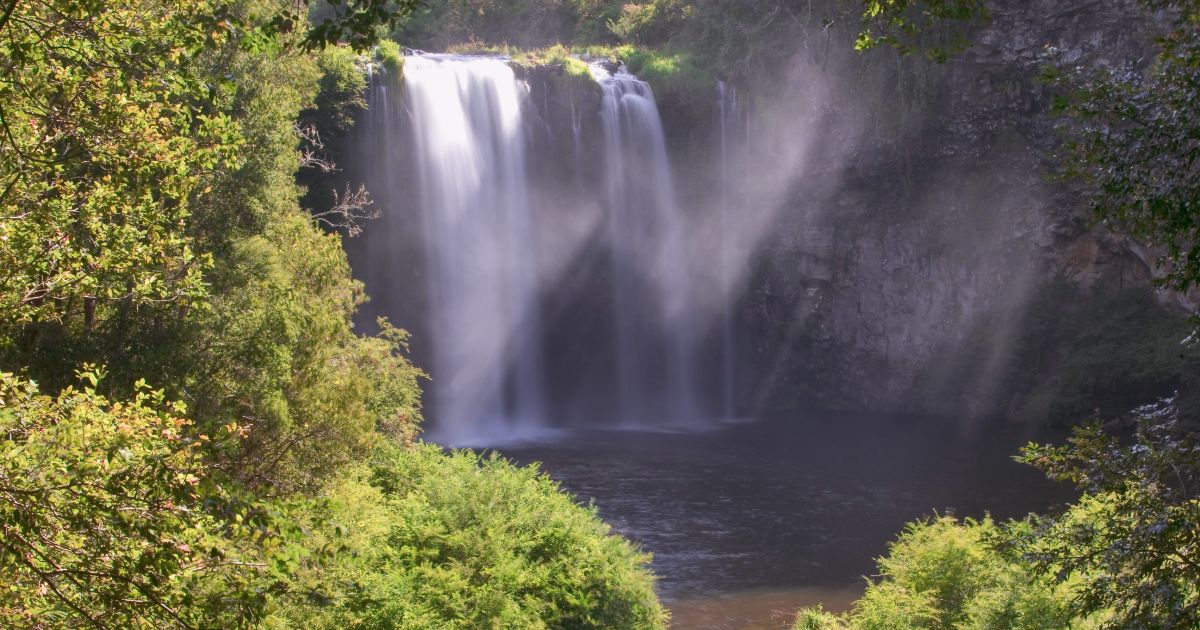 Waterfall Way Drive Plan a Road Trip Armidale to Coffs Harbour NSW